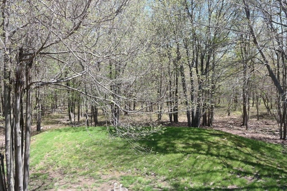 Rentals At Brier Crest Woods ليك هارمونى المظهر الخارجي الصورة